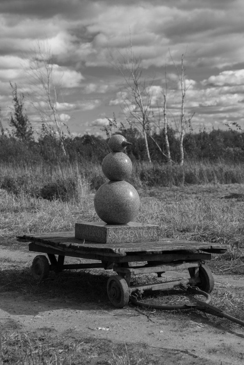 Катерина Ковалёва, SNEGOVICUS POMPEANUS, 2012