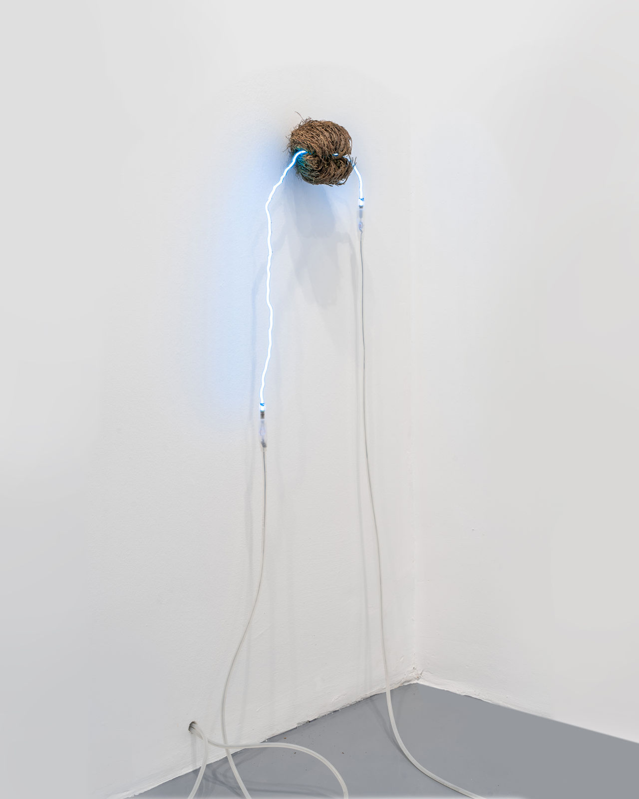 Saskia Noor van Imhoff, green eyes holding hands, 2020