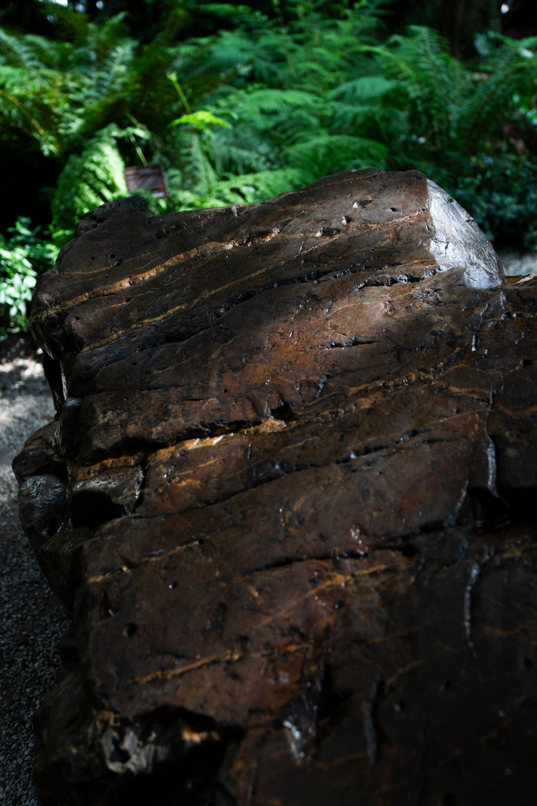 Saskia Noor van Imhoff, #+30.00, 2017