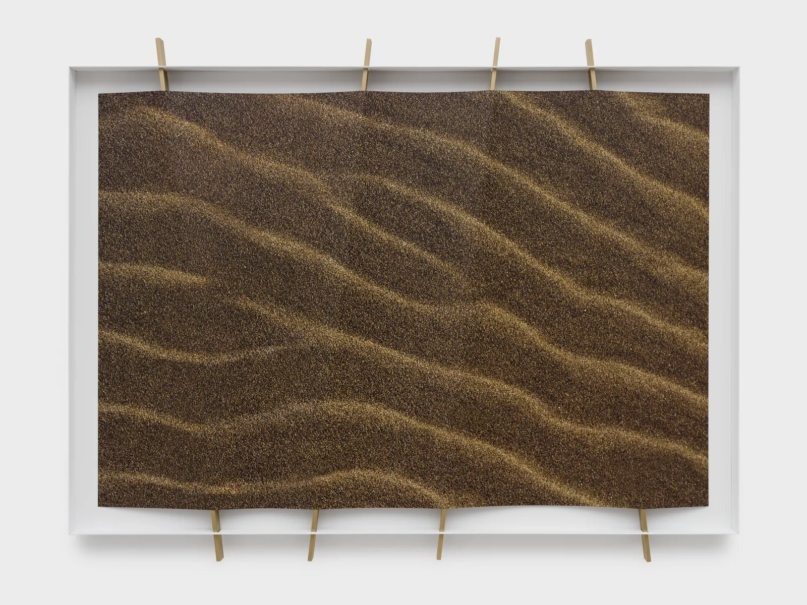 Letha Wilson, Pacific Coast Bronze Sand Lines, 2026