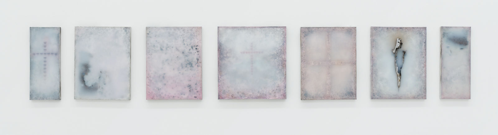 An image of seven pieces varying in width and materials, such as pigmented rigid foam, rubber, black ants, sea shells, poppy seeds, all hanging side by side on a white wall.