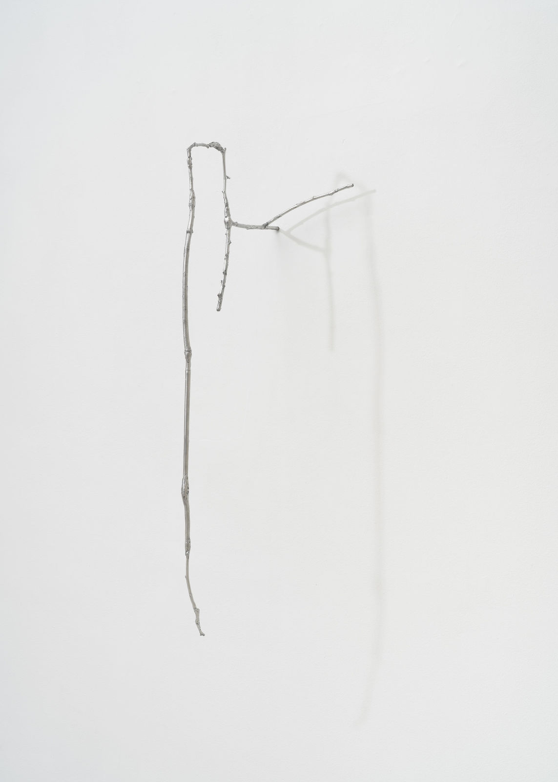 Saskia Noor van Imhoff, One Hour Outside (Warre), 2024