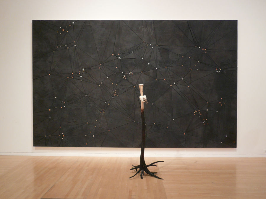 Matthew Day Jackson, Terranaut, 2008