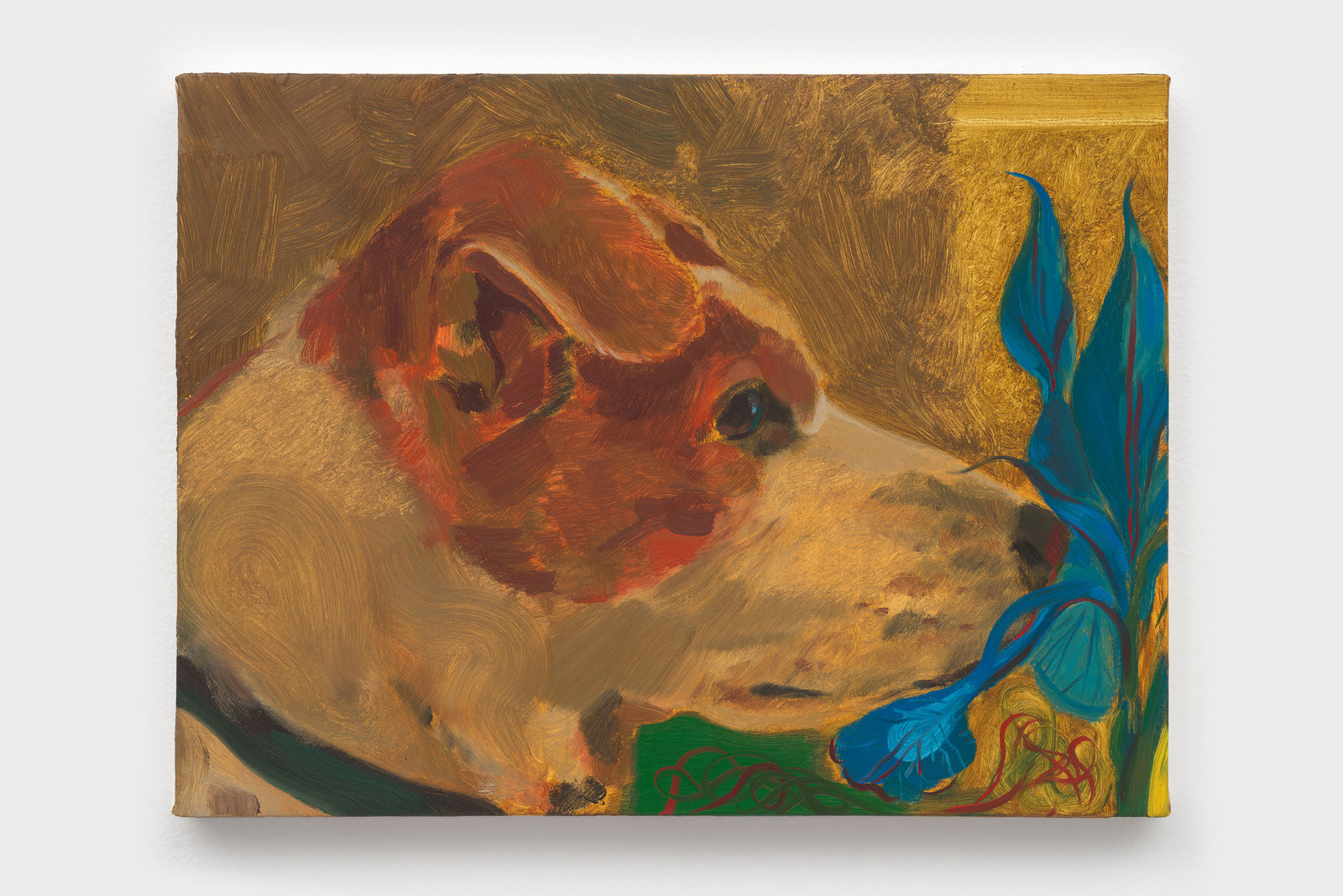 Anthony Cudahy, Seneca and iris, 2024