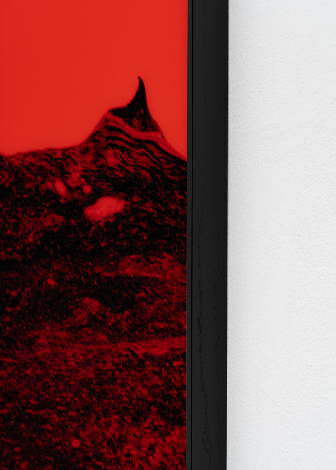 Saskia Noor van Imhoff, Sugar and Air (I), 2024