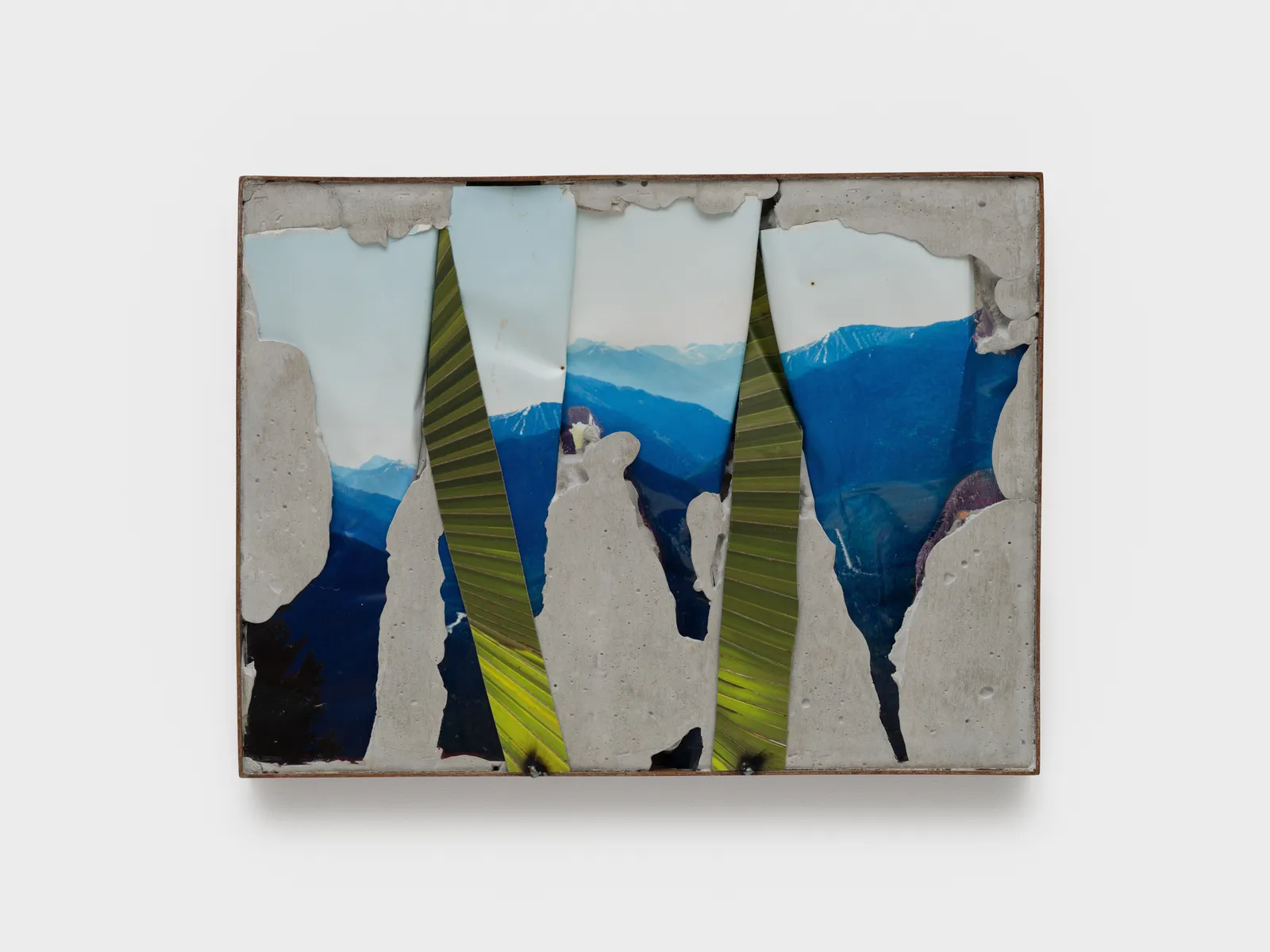 Letha Wilson, Montana Glacier Vista, 2026