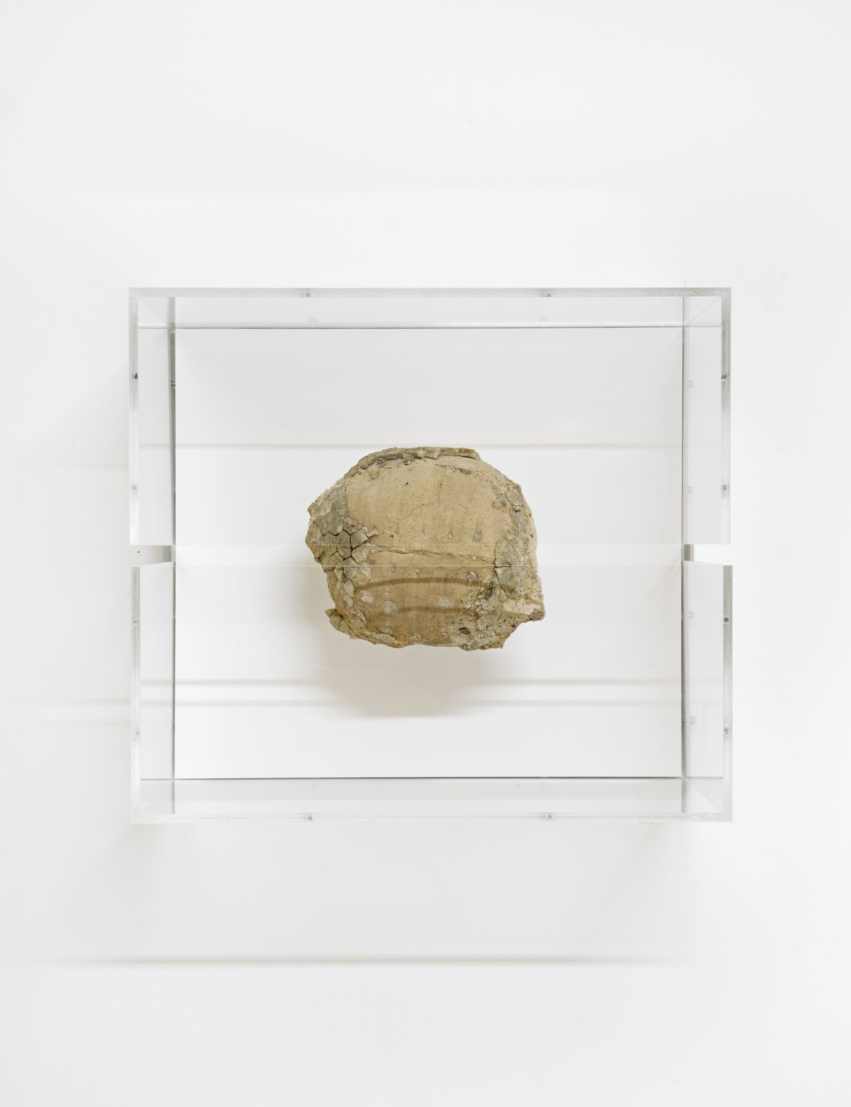 A mixed media piece in a glass case.