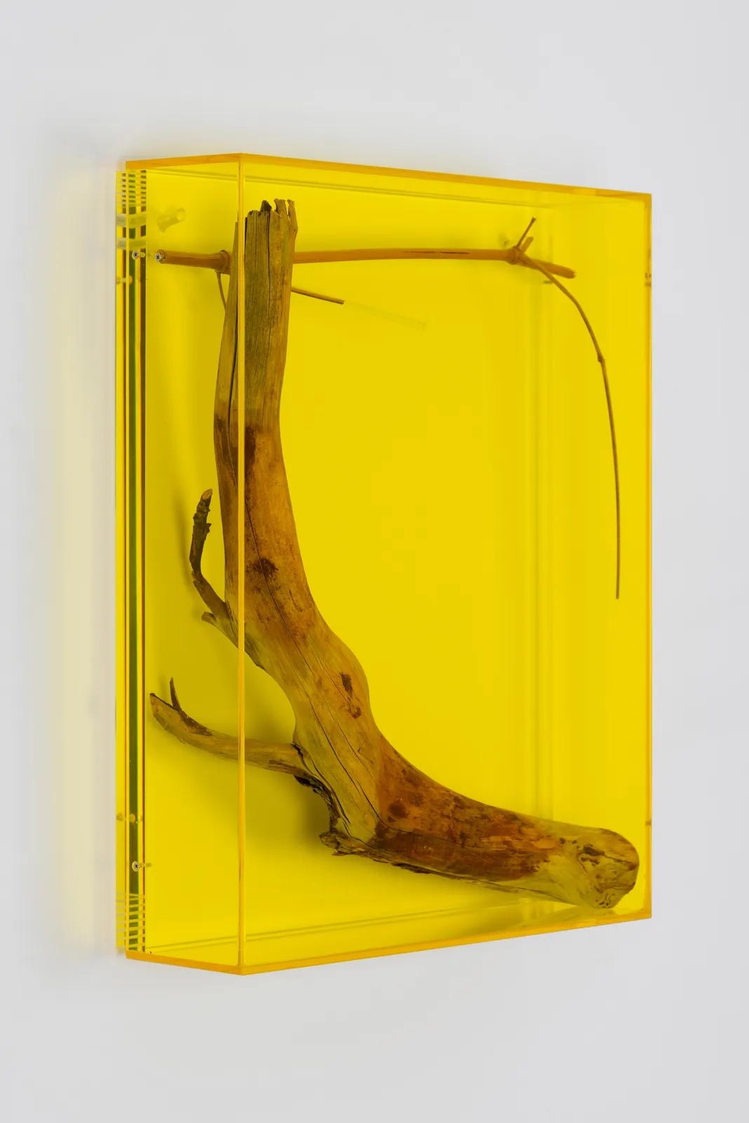 wall mounted sculptural piece consisting of Plexiglass, wood and bamboo twig