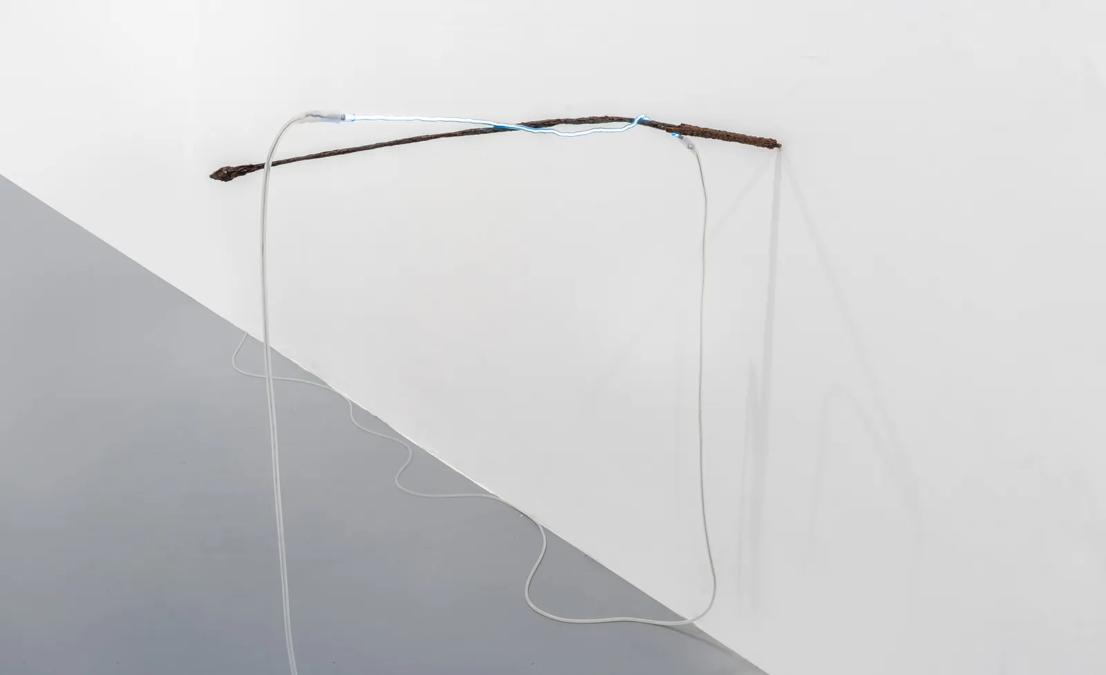 Saskia Noor van Imhoff, flat when moist, curling inward when dry (ball-like), 2020