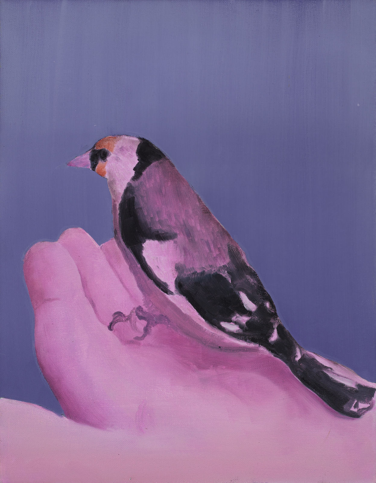 Ciarán Murphy, Flyway, 2025