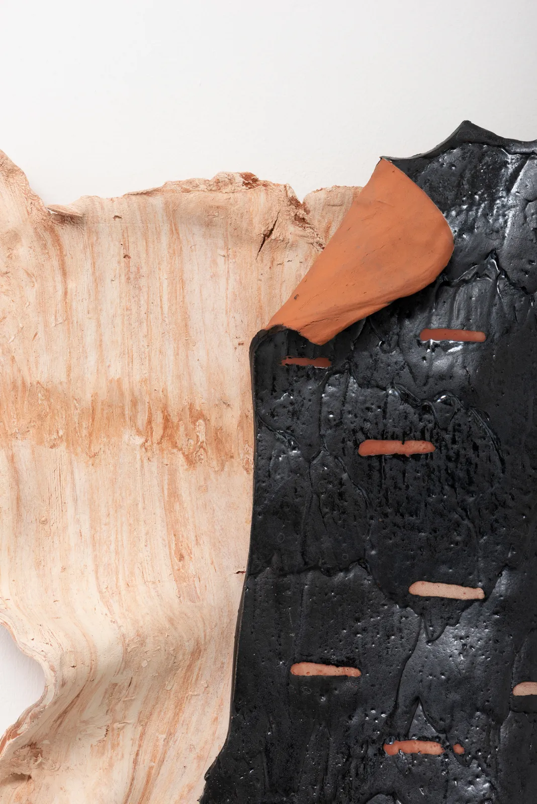 Lucy Skaer, Wild and Afraid, 2021