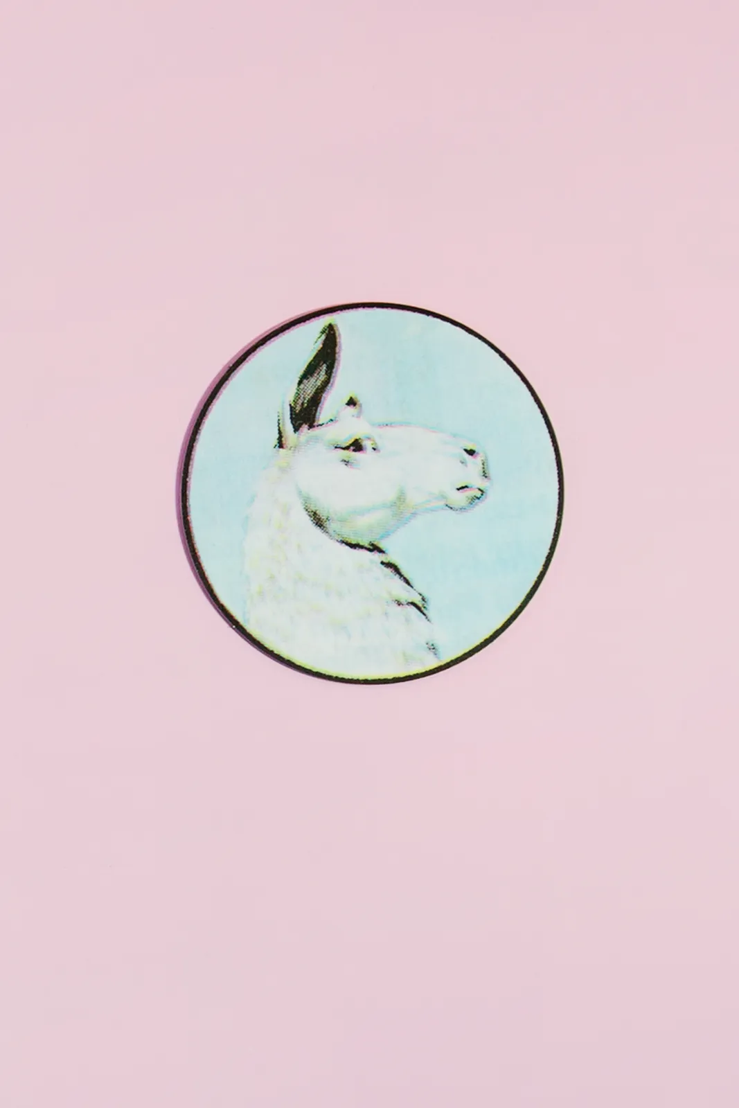 Claudia Martínez Garay, llama, 2019