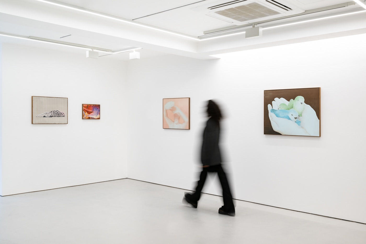 Ciarán Murphy, hollow daze, 2023