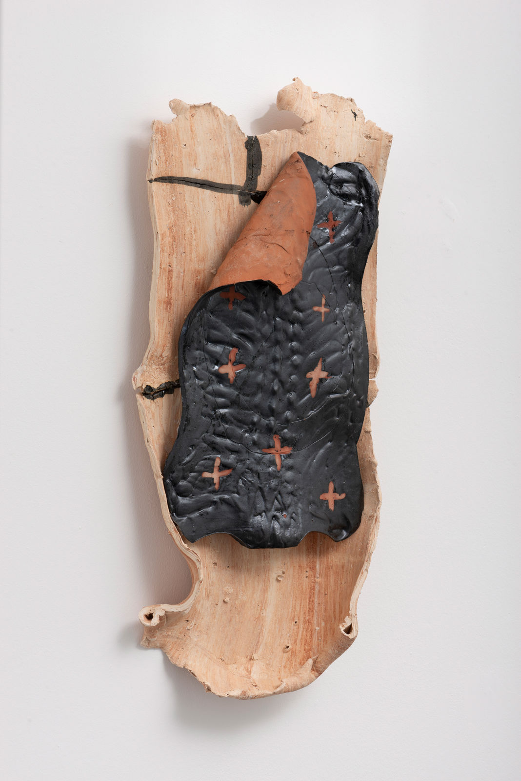 Lucy Skaer, Tame in the wilderness, 2021