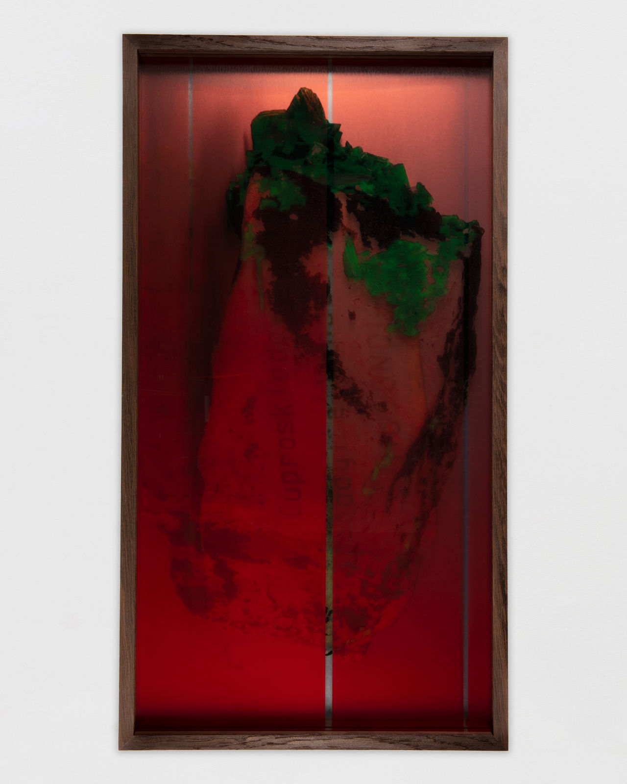 Saskia Noor van Imhoff, Torpor, 2025