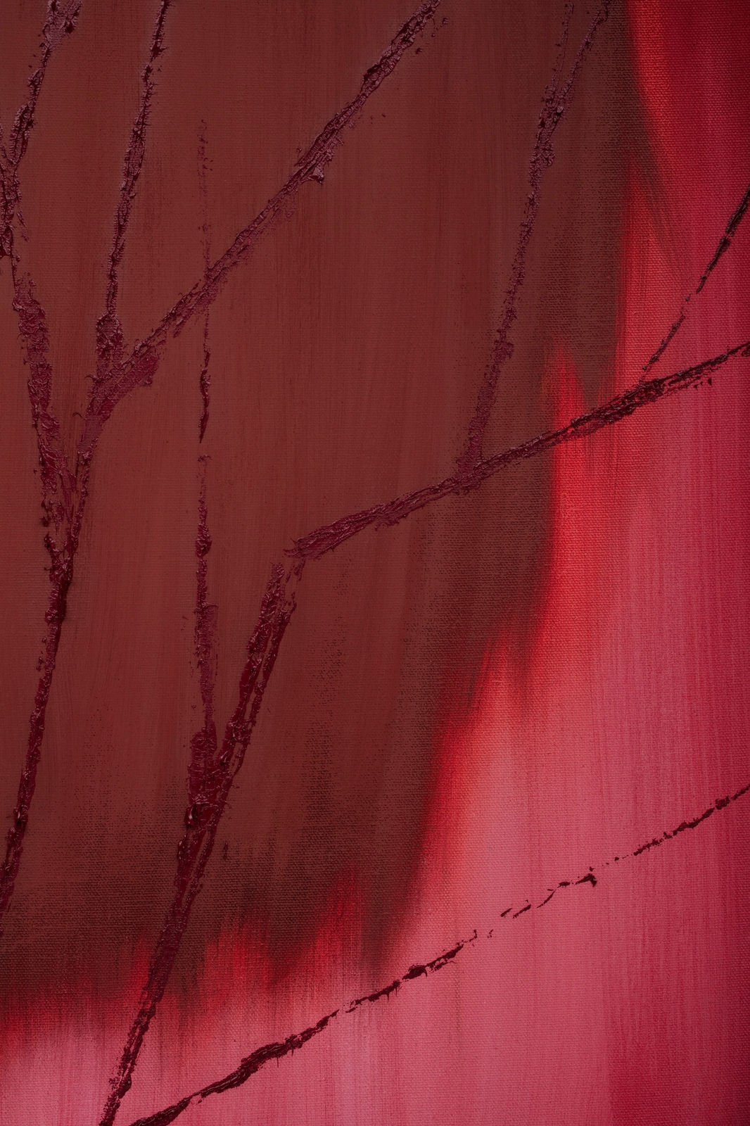 Robert Zandvliet, Dogwood, 2024