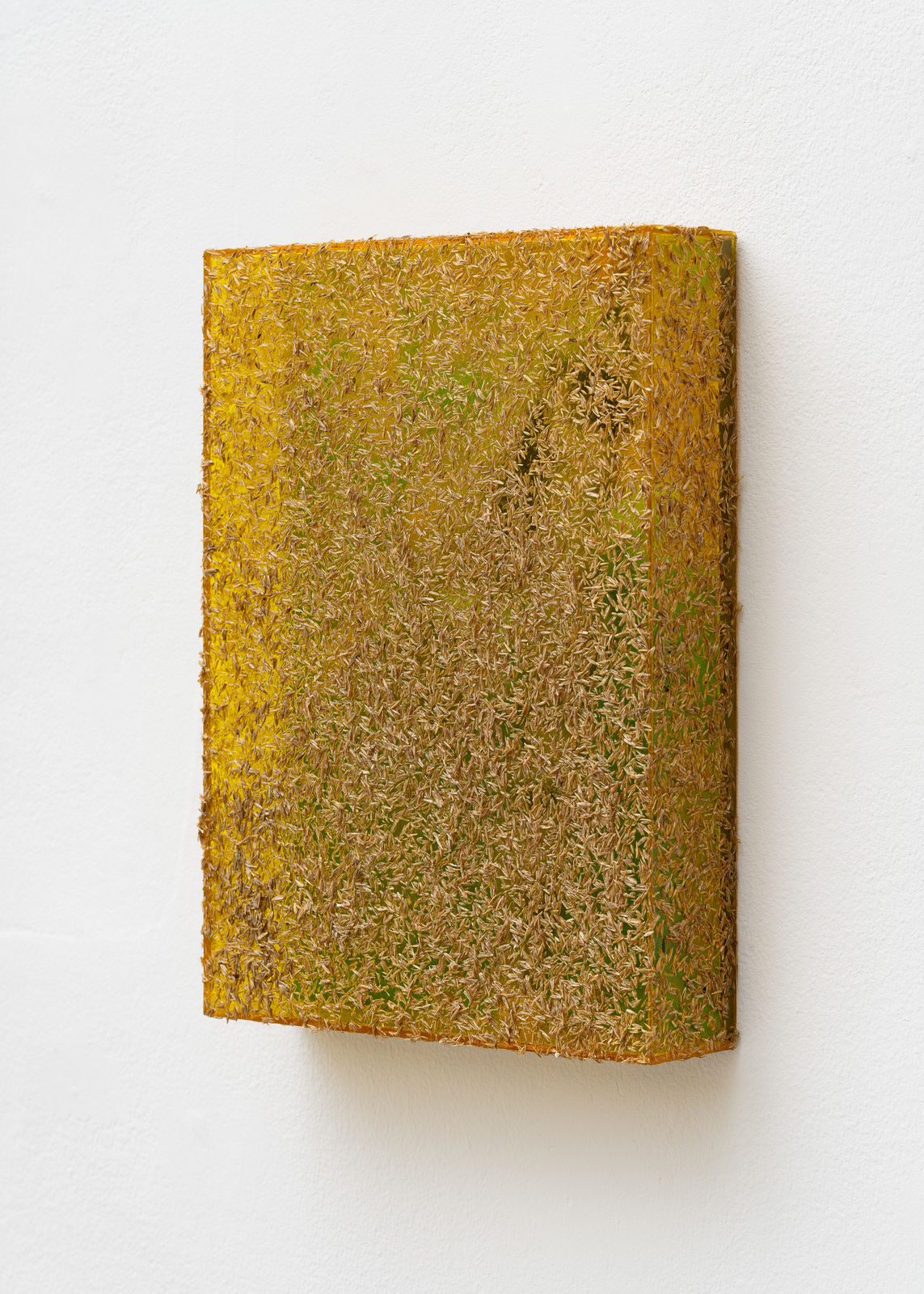 Saskia Noor van Imhoff, Untitled, 2024