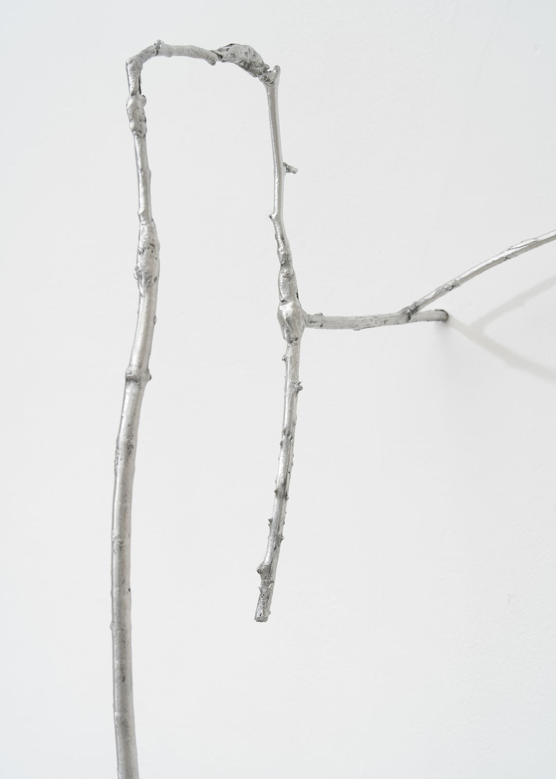 Saskia Noor van Imhoff, One Hour Outside (Warre), 2024