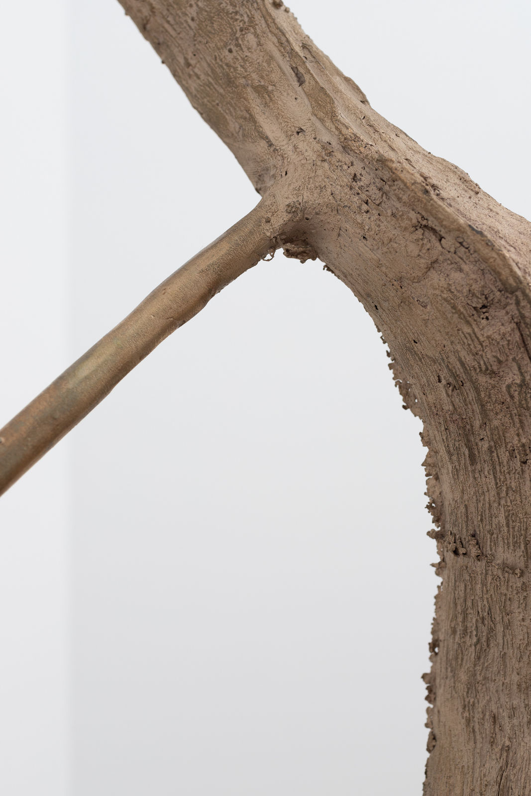 Saskia Noor van Imhoff, Sweet taste of reproduction, 2022