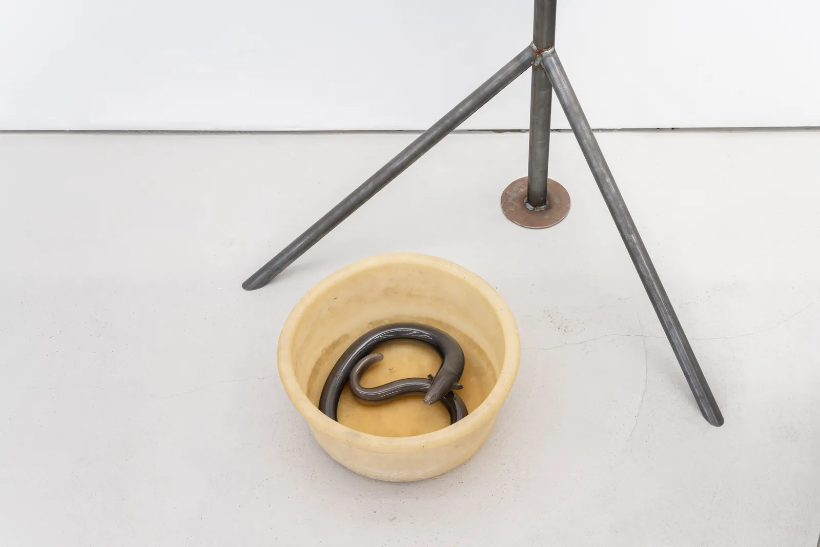 Charles Avery, Untitled (Market Stand), 2023