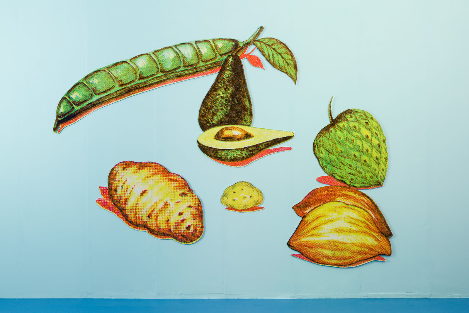 Claudia Martínez Garay, frutos consechados / harvested fruits, 2019