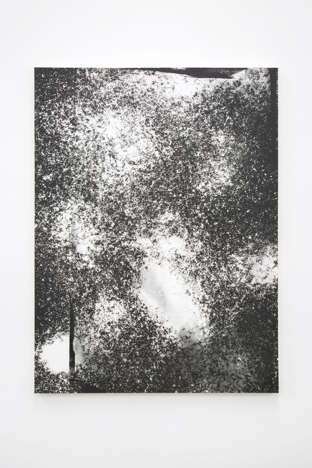 Nick van Woert, Immortal Litter, 2017