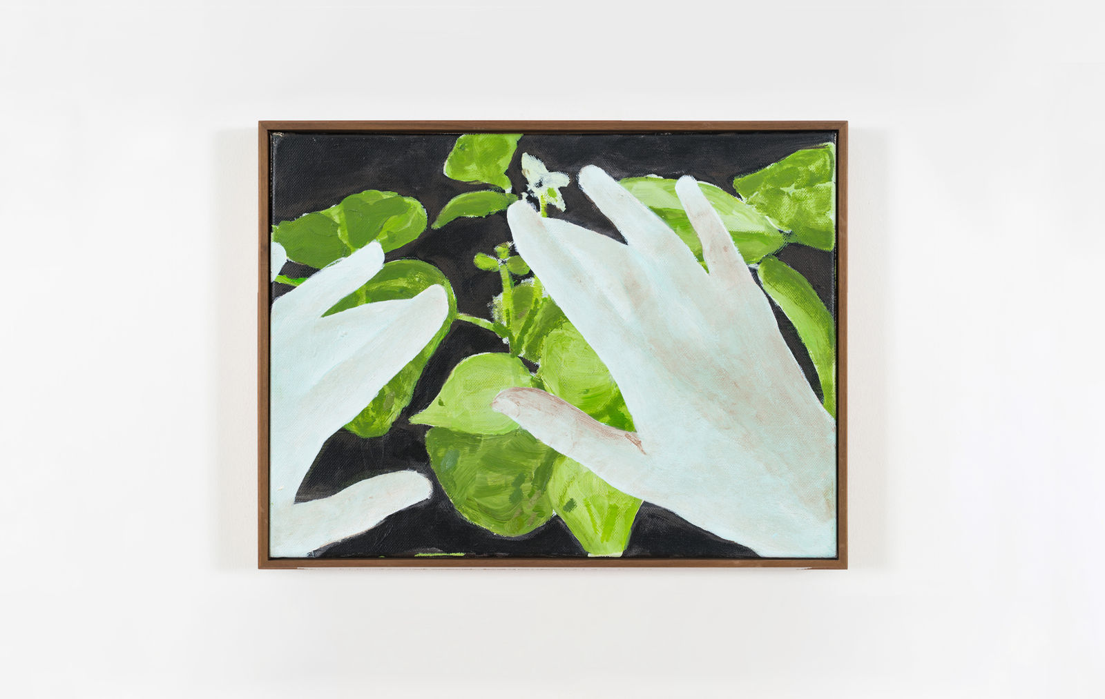 Ciarán Murphy, Thicket, 2020