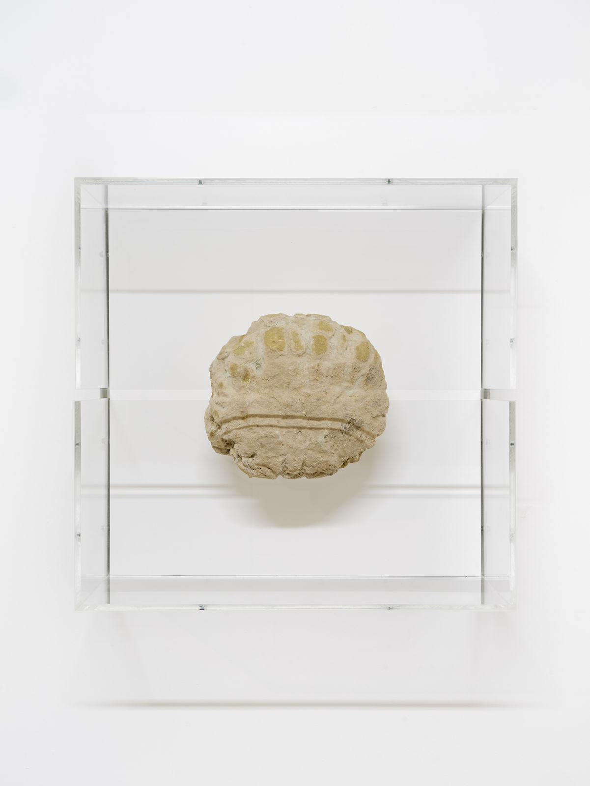 A mixed media piece in a glass case.