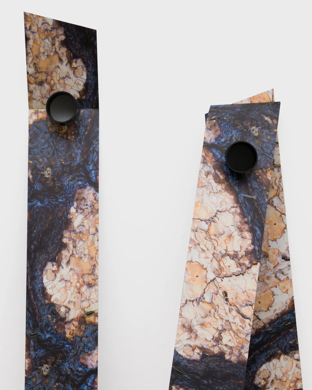 Letha Wilson, Jeffrey Pine Steel Planks, 2026