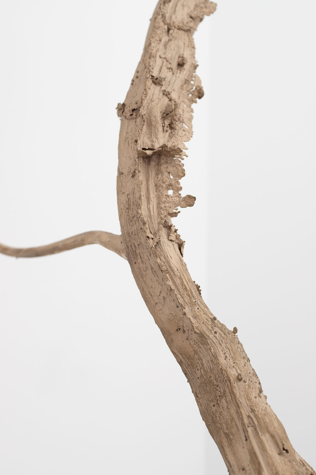 Saskia Noor van Imhoff, Sweet taste of reproduction, 2022