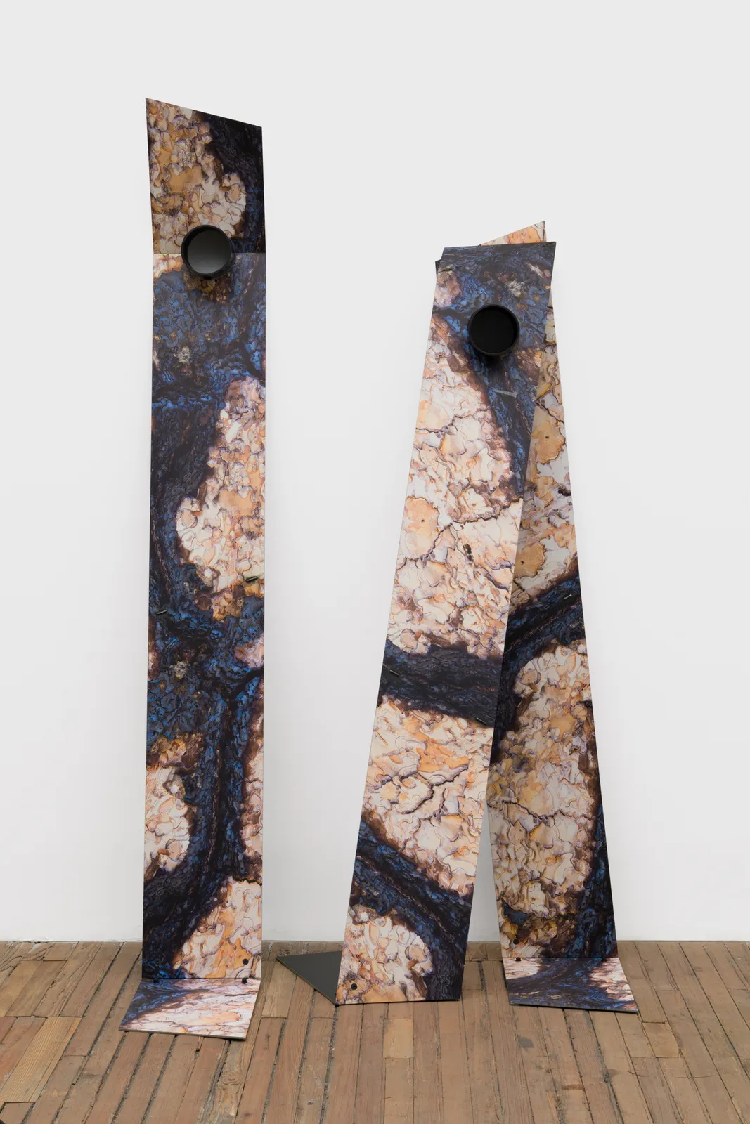 Letha Wilson, Jeffrey Pine Steel Planks, 2026