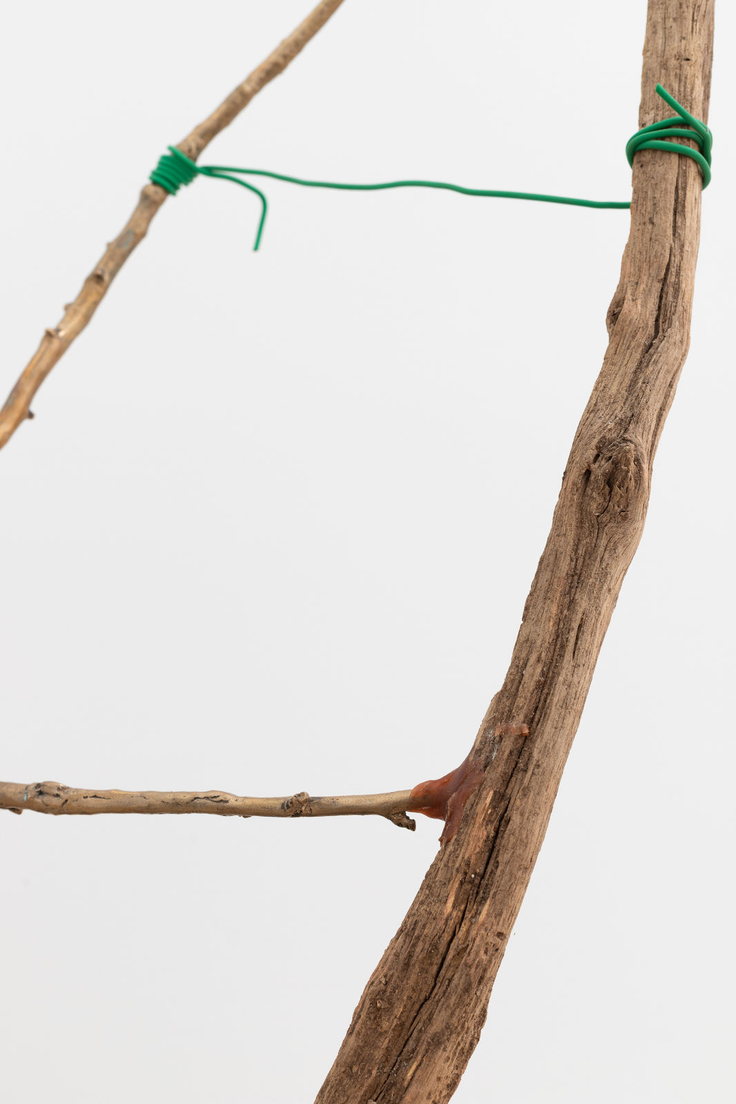 Saskia Noor van Imhoff, untitled, 2022