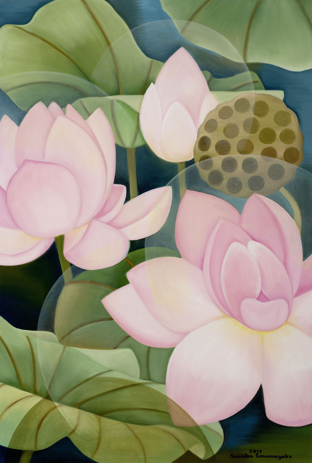 Senaka Senanayake, Pink Lotus,, 2017