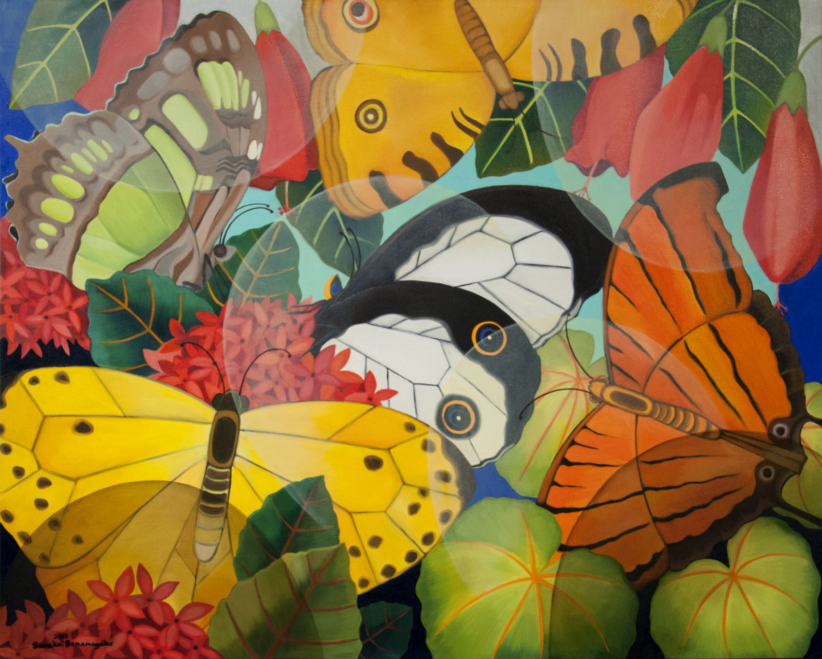 Senaka Senanayake, Butterflies, 2018
