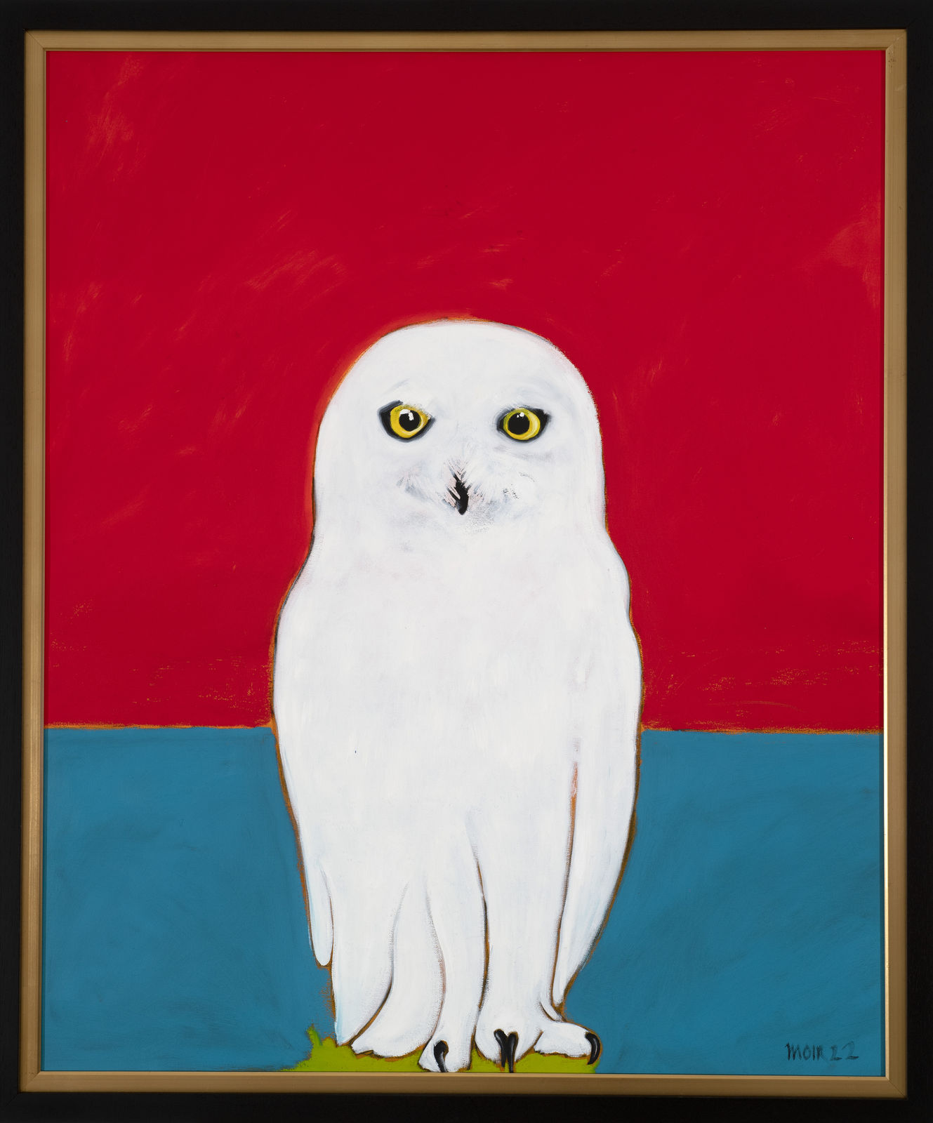 Jim Moir, Snowy Owl in hot climate , 2022