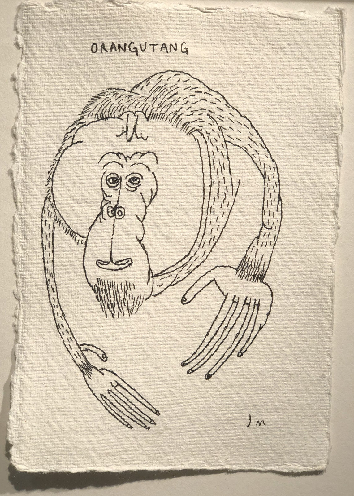 Jim Moir, Orangutan 2, 2018