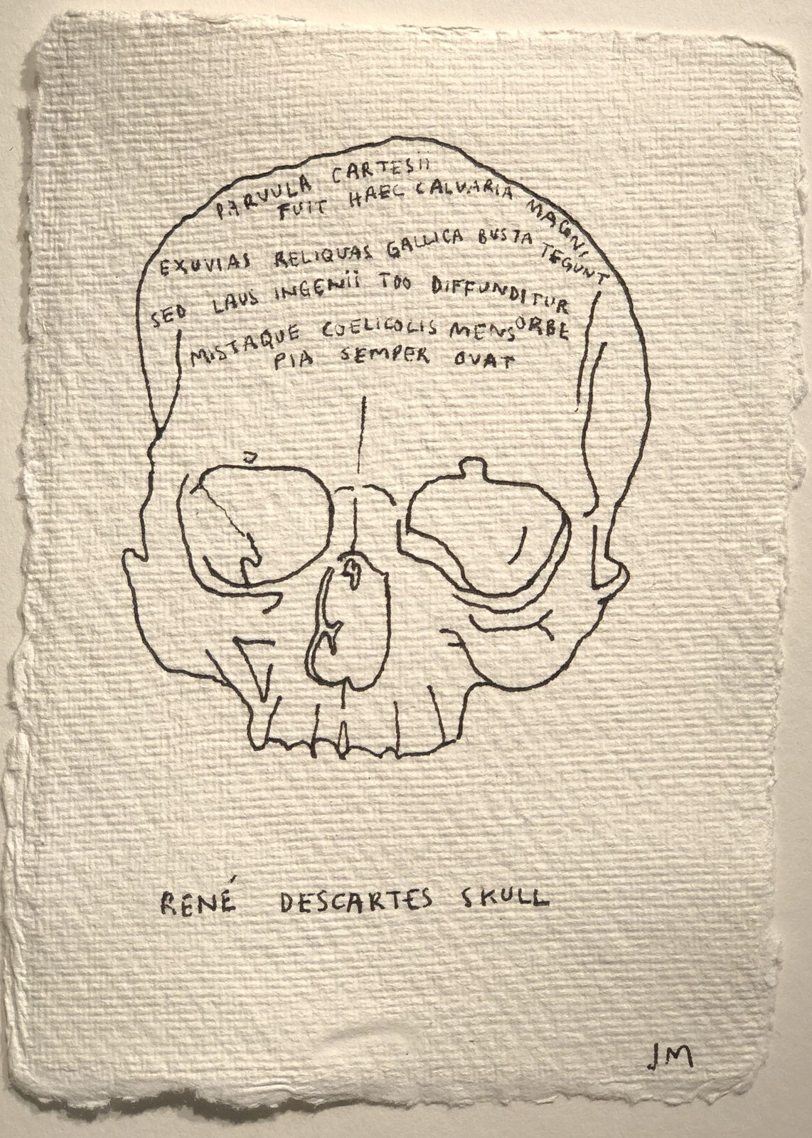 Jim Moir, Skull of Descartes, 2018
