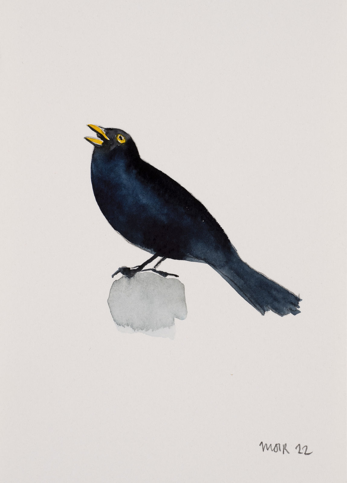 Jim Moir, Blackbird 12, 2022