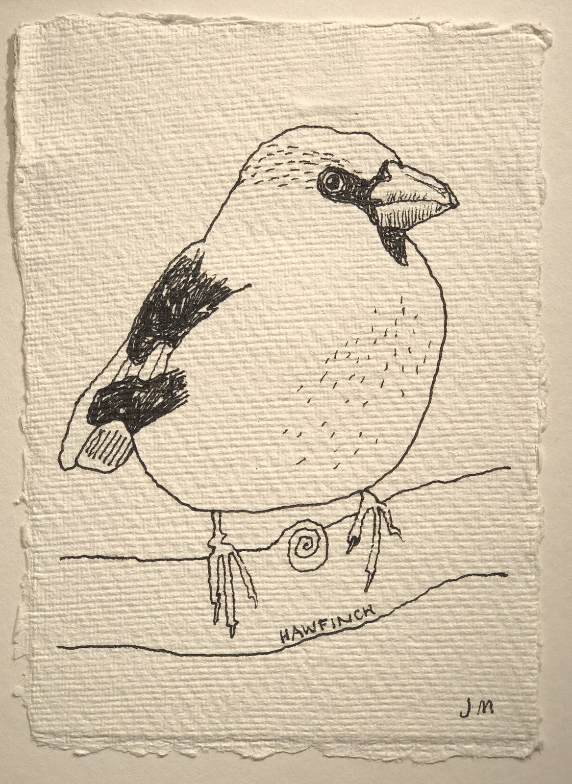 Jim Moir, Finch, 2018