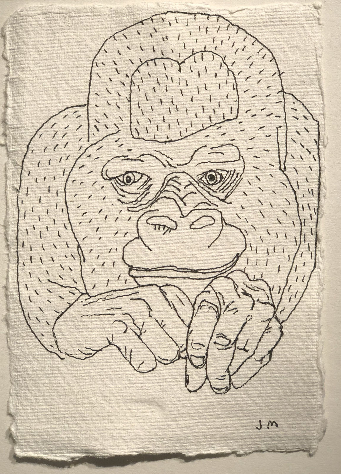 Jim Moir, Gorilla, 2018