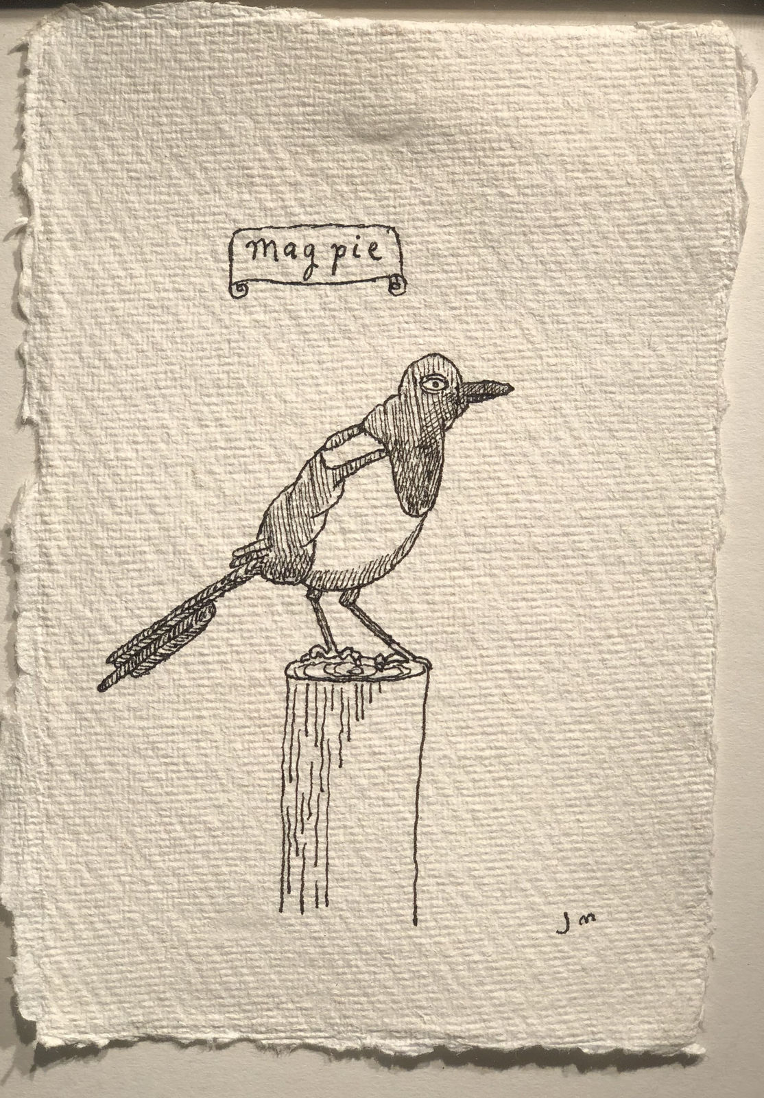 Jim Moir, Magpie, 2018
