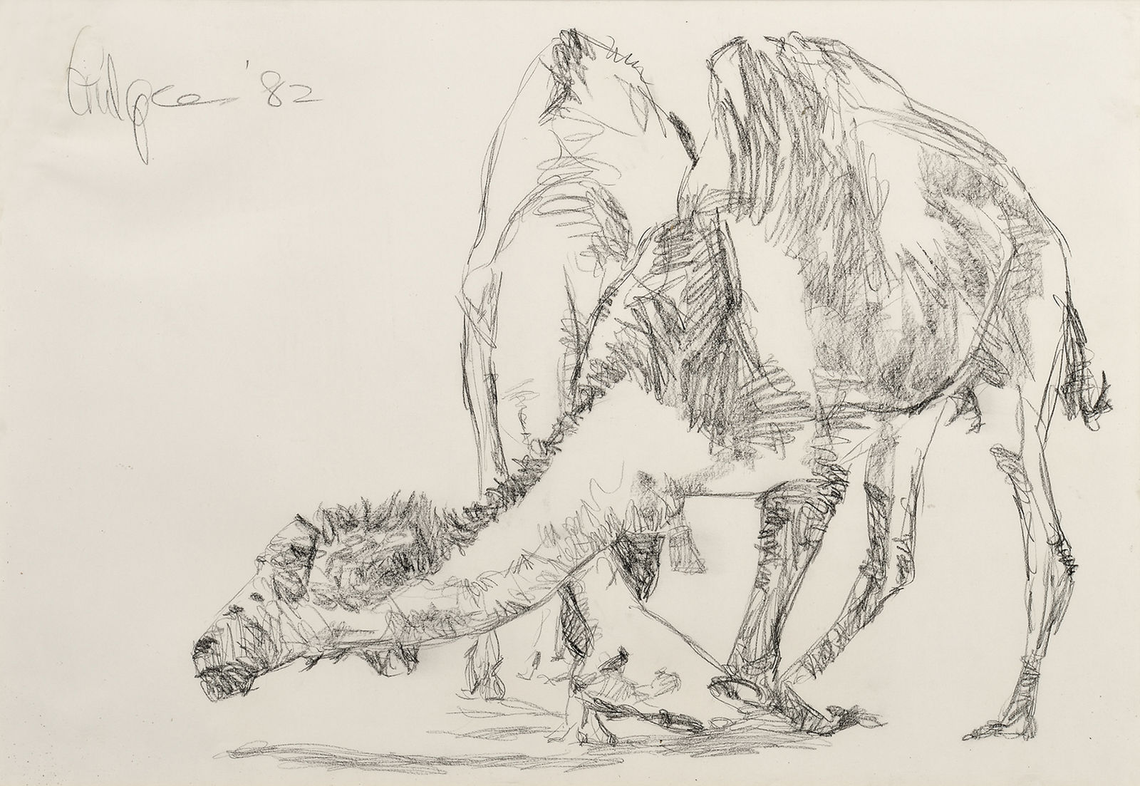 Ismail Gulgee, Untitled (Camels), 1982