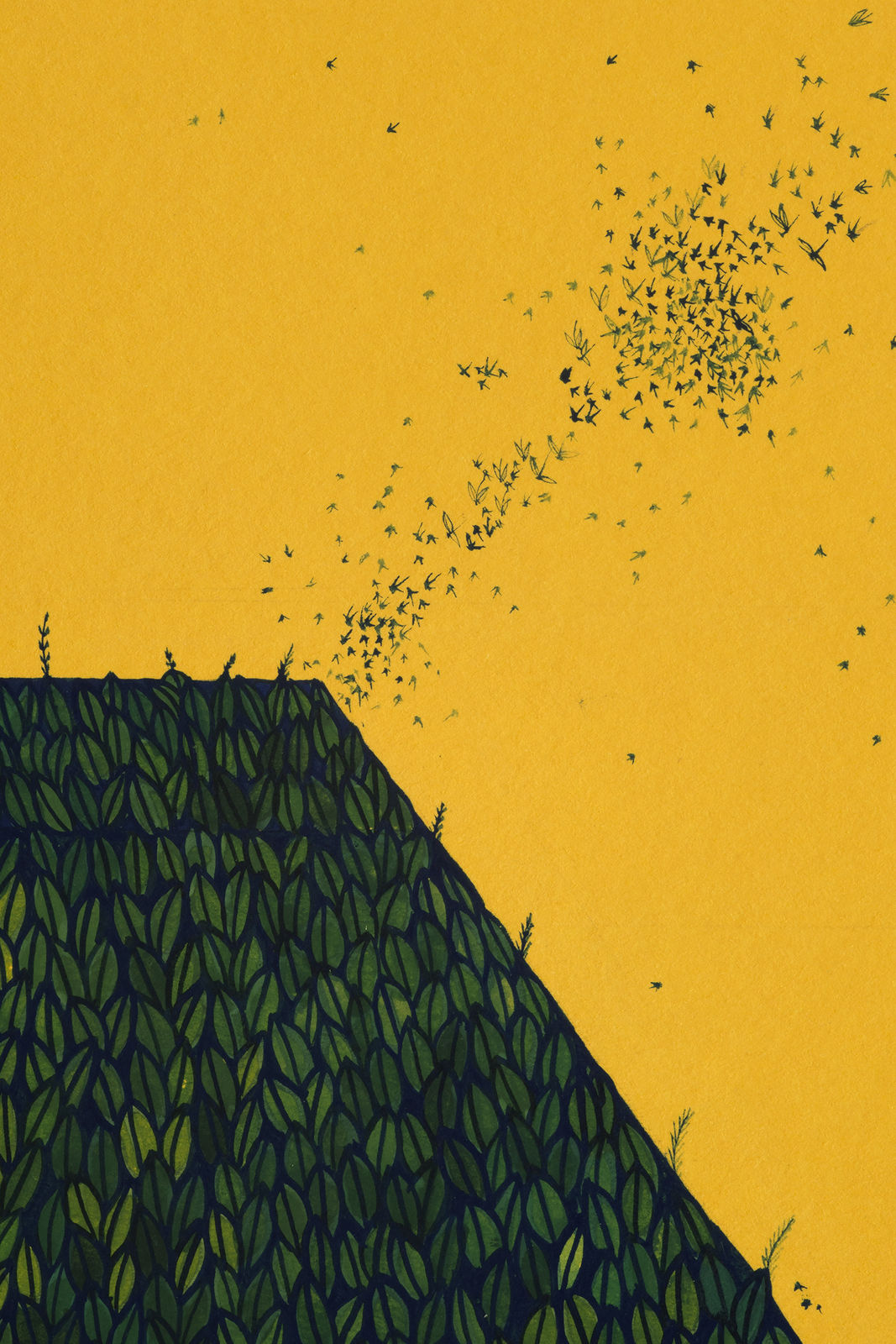 Wardha Shabbir, Territory, 2020