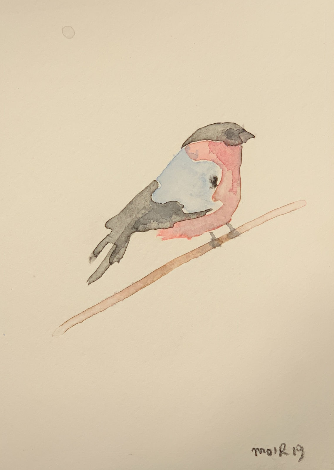 Jim Moir, Bird, 2019