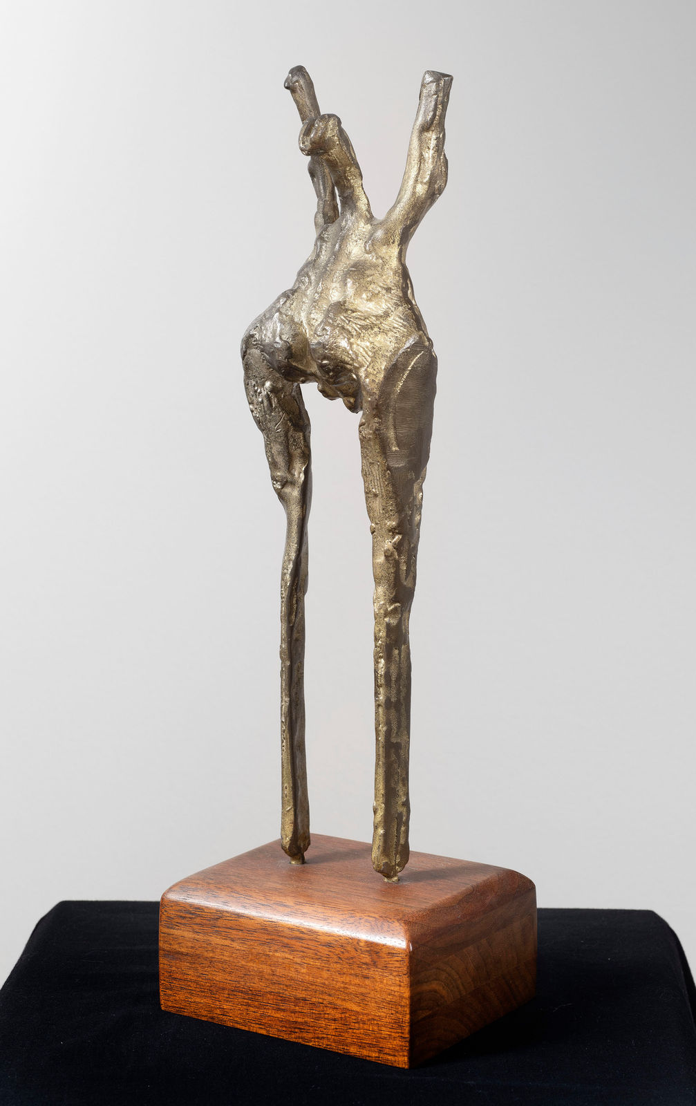 Krishna Reddy, Demonstrator, 1968