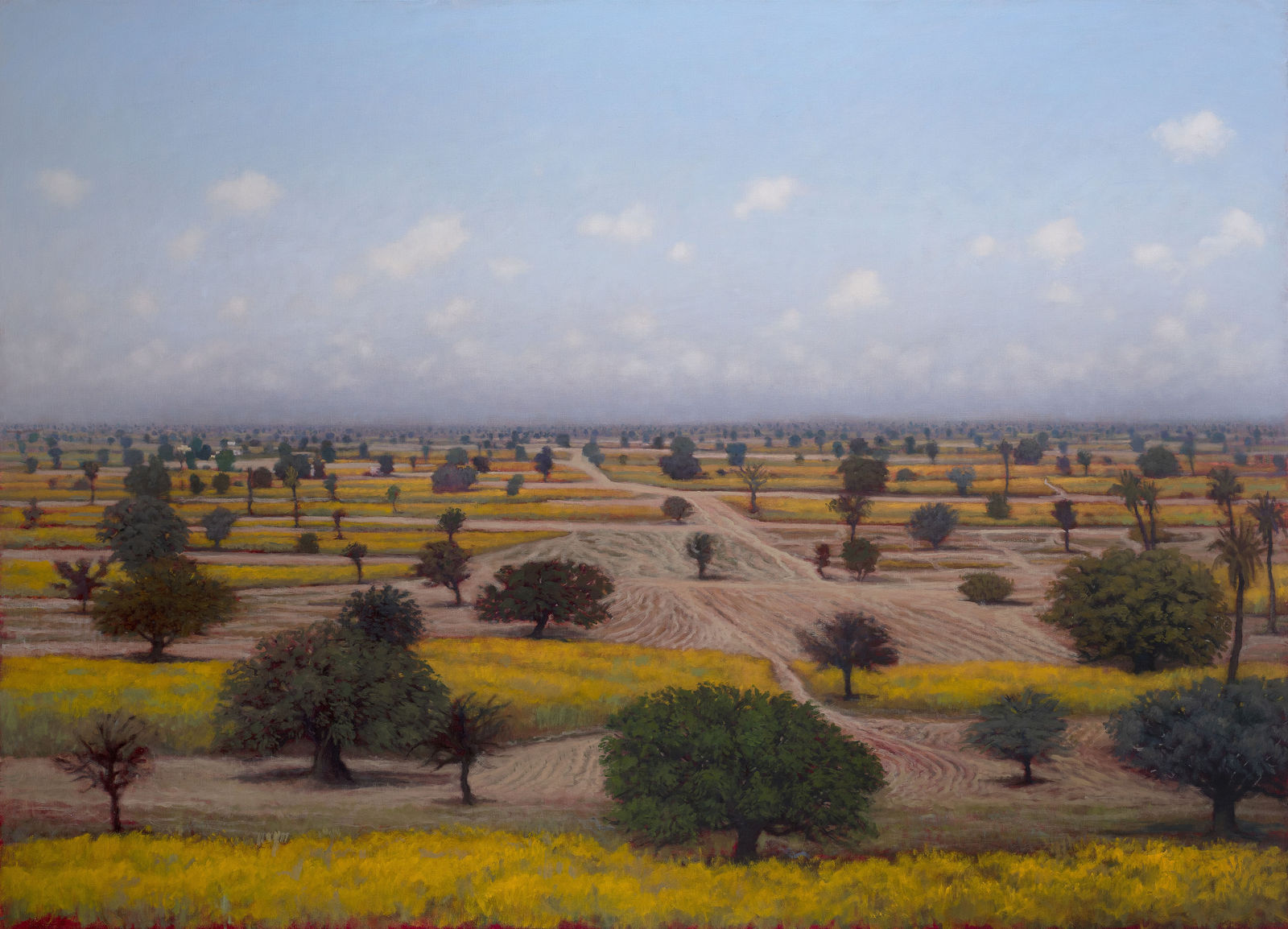 Tobit Roche, Mustard Fields, 2020