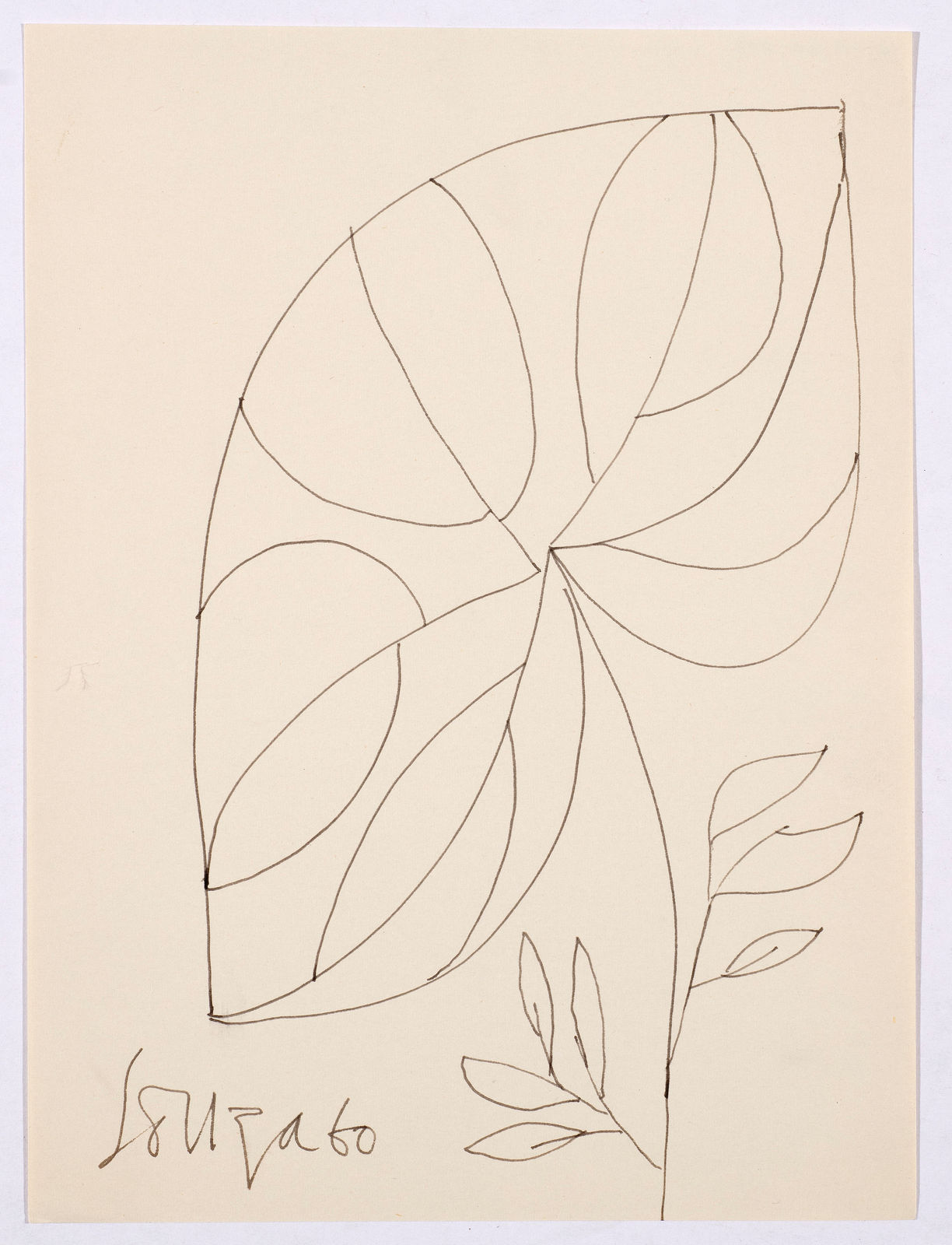 Francis Newton Souza, Untitled (Drawing of Flower with leaves) , 1960