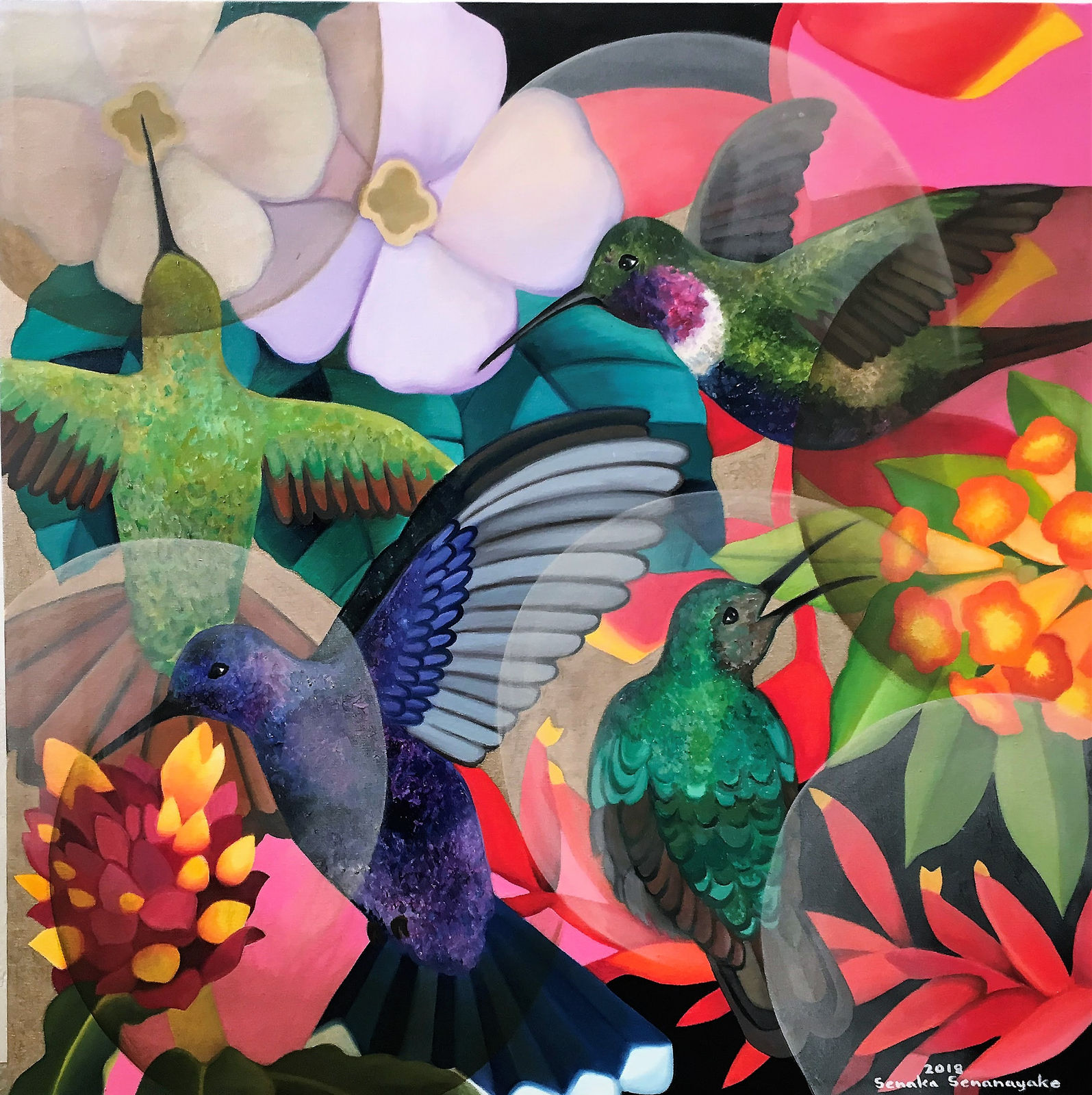 Senaka Senanayake, Feeding Humming Birds, 2018