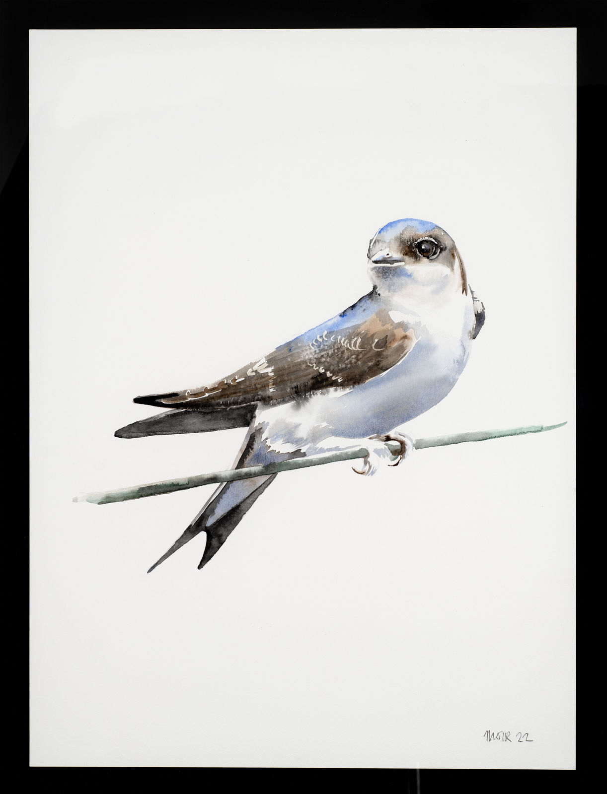 Jim Moir, Swift on a twig, 2022