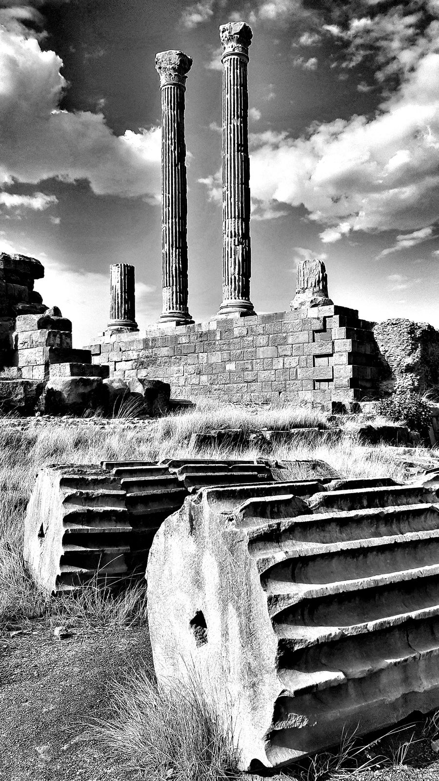 William Dalrymple, Sahara Frontier, 2021